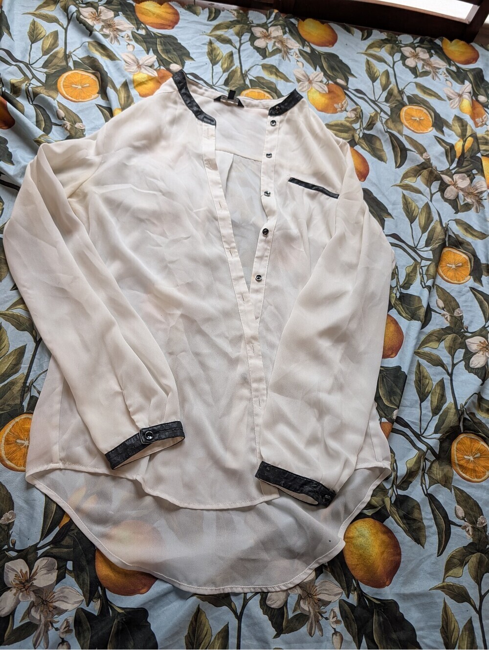 RW&CO Women's Cream & Black Sheer Button-Up Blouse – Elegant Long Sleeve Top